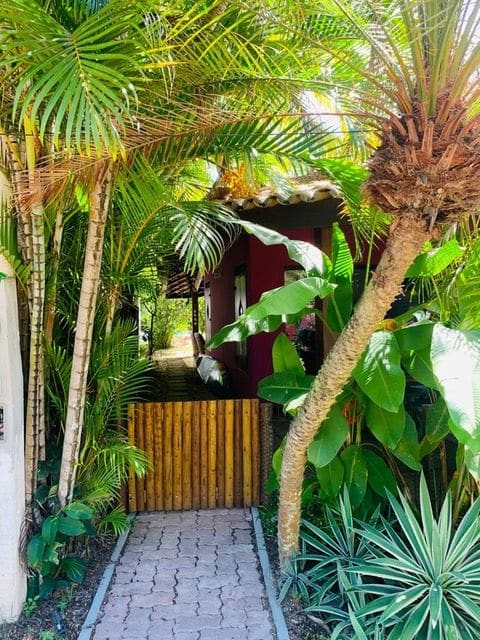 Garden path to the entrance