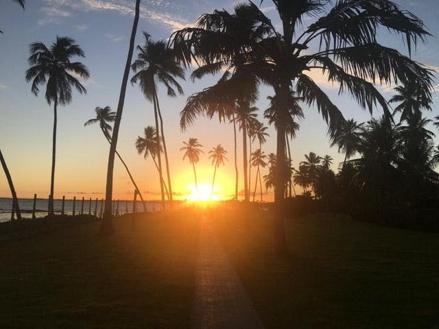 Sunset over the beachfront lawn