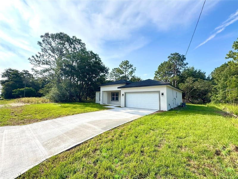 Driveway and front lawn