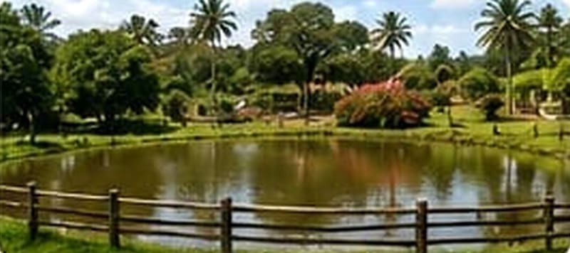 Lake and gardens with flowering shrubs