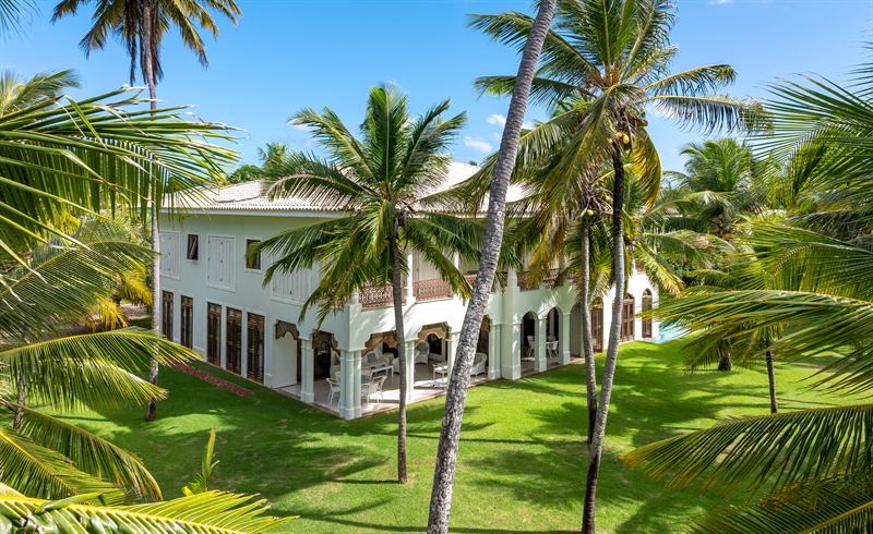 Aerial view of the house among the coconut palms