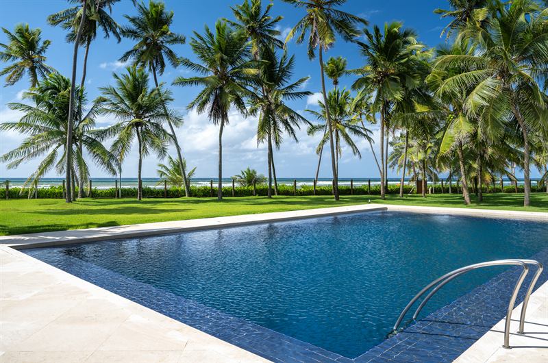 Pool with palm grove and ocean view
