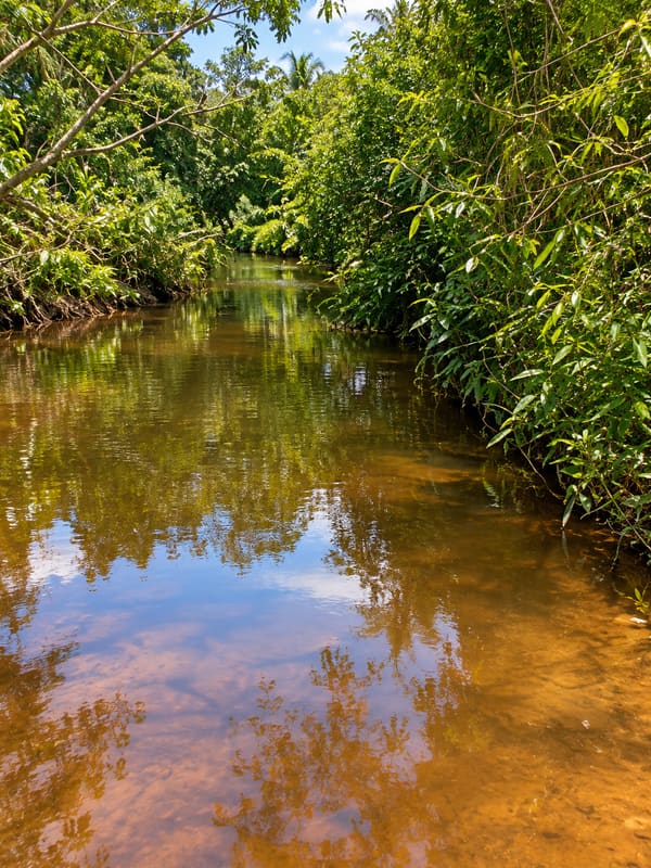 The river at the back of the property